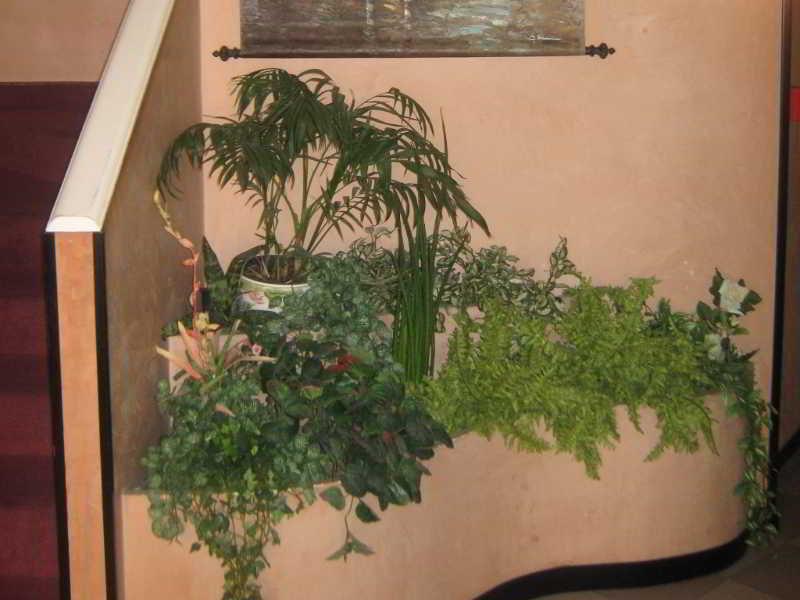 Kappa Hotel 3*